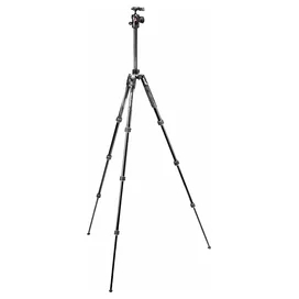 Штатив MANFROTTO Befree Advanced Travel Twist, Black (MKBFRTA4BK-BH) фото #1