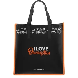 Technodom "I Love Qazaqstan" полипропилен сөмкесі, 37*37*25 см (BAG_I_love_KZ) фото