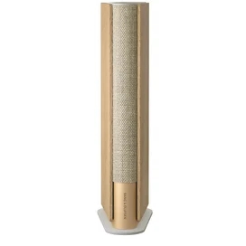 Аудиосистема Bang & Olufsen BeoSound Emerge, Gold Tone Alu/Light Oak фото #3