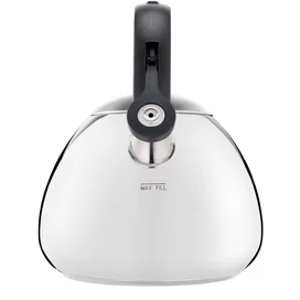 Чайник 2,7л (для индукции) Tefal K2481574 фото #1