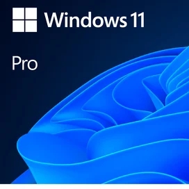 Win Pro 11 64-bit All Lng PK Lic Online DwnLd NR (ESD) фото #1