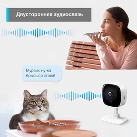 WiFi TP-Link Tapo C110 камерасы, Бекітпелі, 1296p Super Full HD, Ақ (Tapo C110) фото #1