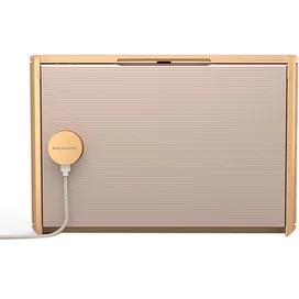 Аудиосистема Bang & Olufsen BeoSound Level Gold Tone Alu/Light Oak фото #2