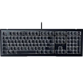 Игровая клавиатура Razer Ornata V2 (RZ03-03380100-R3M1) фото #1