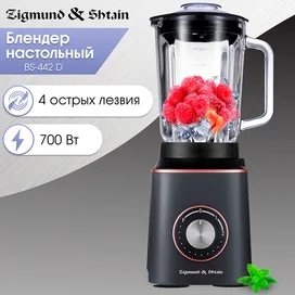 Блендер стационарный Zigmund&Shtain BS-442 D фото #1