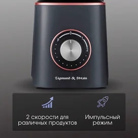 Блендер стационарный Zigmund&Shtain BS-442 D фото #2