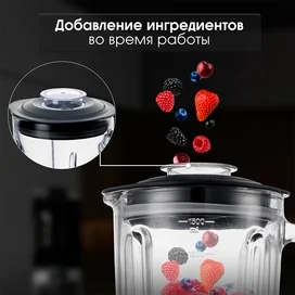 Блендер стационарный Zigmund&Shtain BS-442 D фото #4