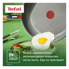 ReNew Tefal C4250413 табасы 24см фото #2