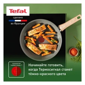 ReNew Tefal C4250413 табасы 24см фото #3