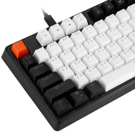 TechnoGaming GCFS1 Havoc, 108, Black Switch (GCFS1-WRNDRBBWBO) ойын пернетақтасы фото #3
