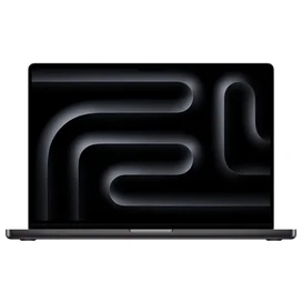 Ноутбук Apple MacBook Pro Space Black M4 Max / 48ГБ / 1000SSD / 16.2 / Mac OS Sequoia / (MX313RU/A) фото
