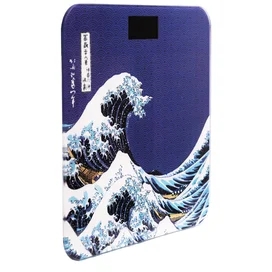 Весы напольные AVA E301P фото #1