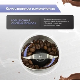 Zigmund&Shtain Кофе ұнтақтағышы ZCG-10 фото #4