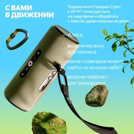 Алисамен бірге ақылды колонка Яндекс Станция Стрит, Жасыл (YNDX-00030GRN) фото #3