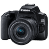 category-icon
